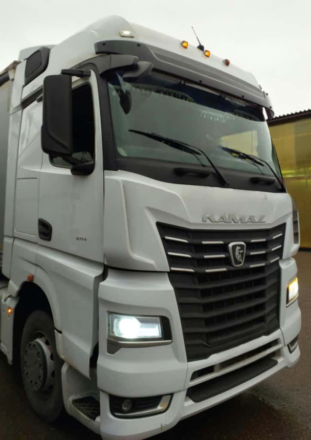 54901-8415402 Панель козырька солнезащитного